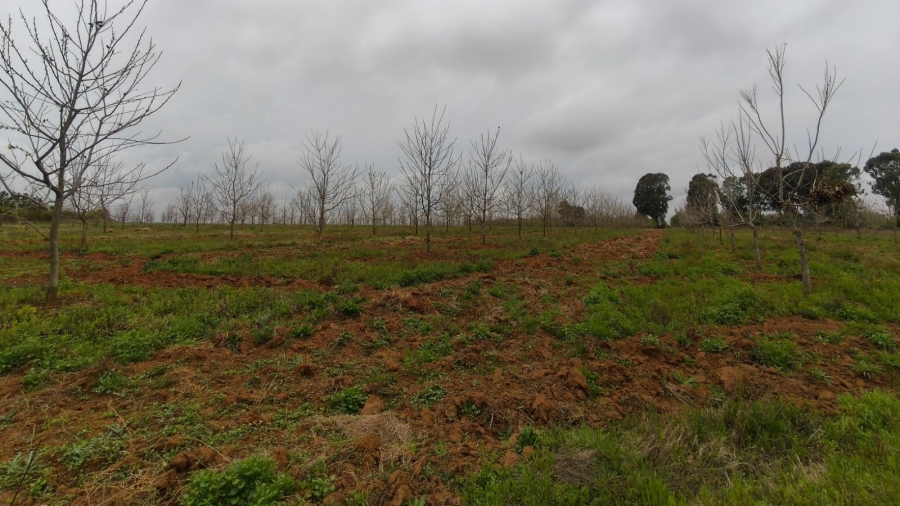 0 Bedroom Property for Sale in Koster North West